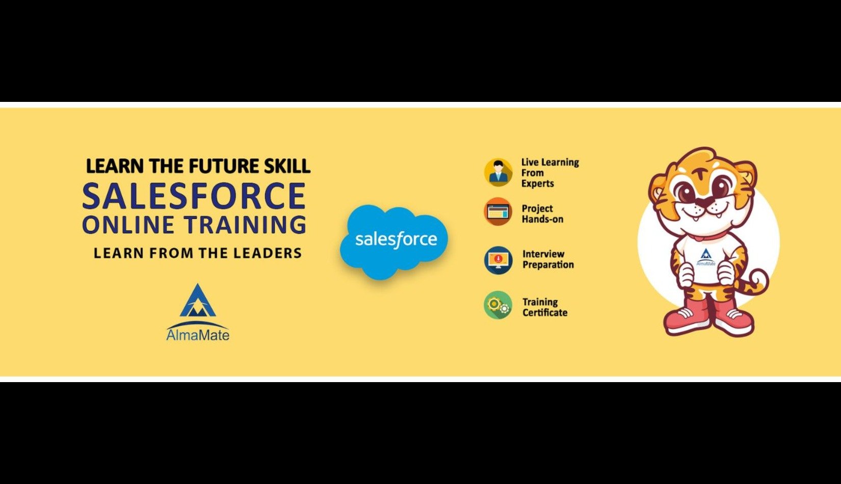 Almamate Info Tech offers the best Salesforce Training in Noida