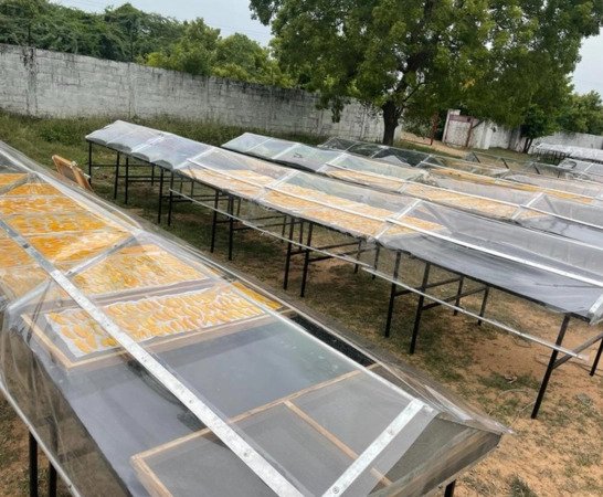 Raheja Solar Food Processing Pvt. Ltd. – photo 2